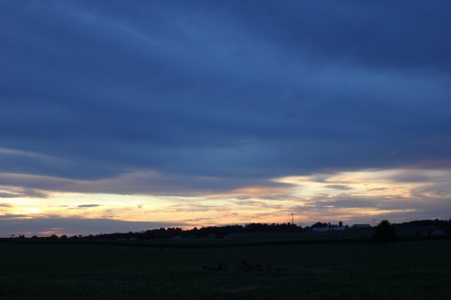 IMG_3885